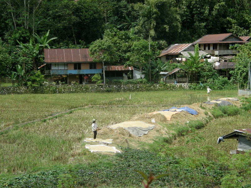 PA260406.jpg