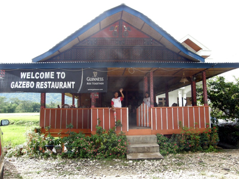 PA260410.jpg
