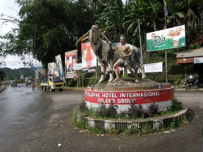 PA260411.jpg