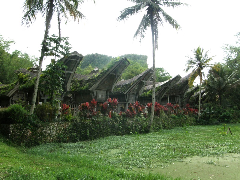 PA260419.jpg