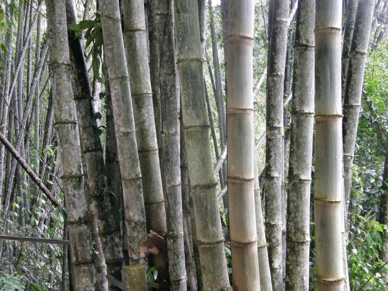 PA260439.jpg
