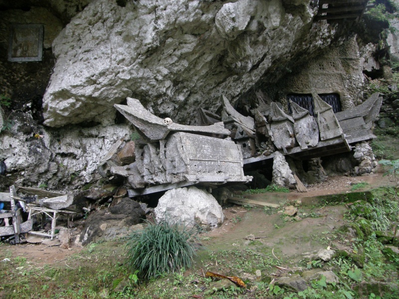 PA260441.jpg
