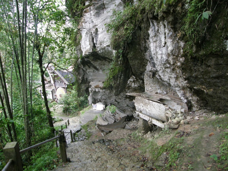 PA260442.jpg