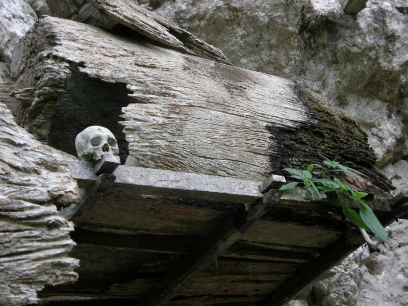 PA260444.jpg