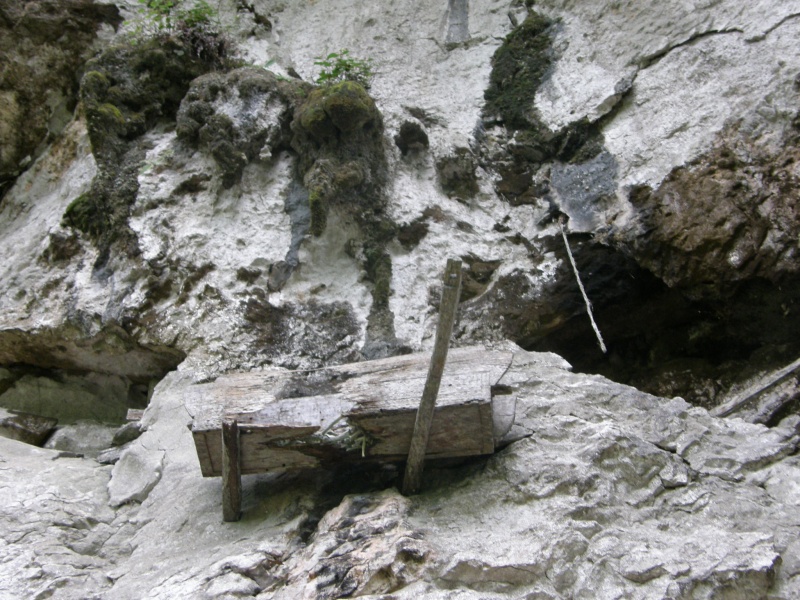 PA260445.jpg
