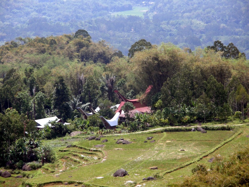 PA270460.jpg