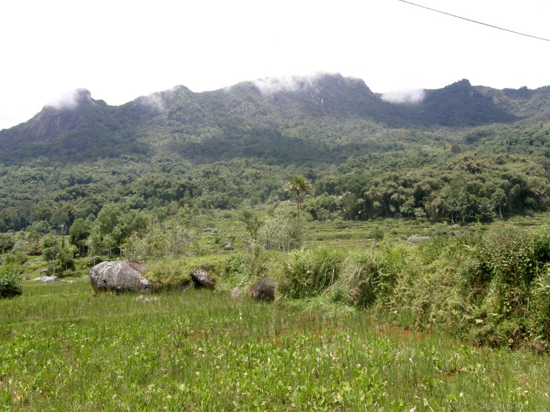 PA270492.jpg