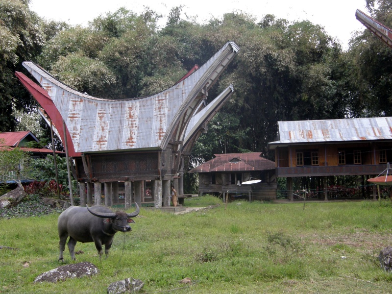 PA270499.jpg