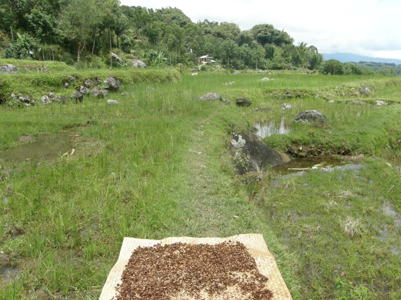 PA270503.jpg
