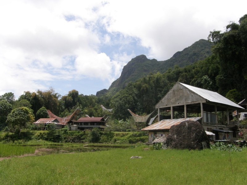 PA270506.jpg