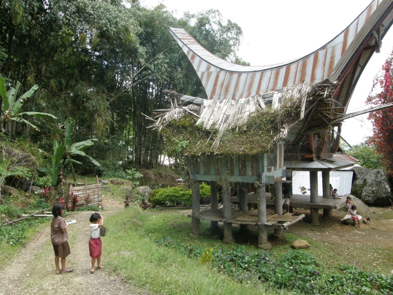 PA270508.jpg