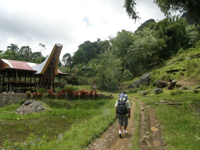 PA270511.jpg