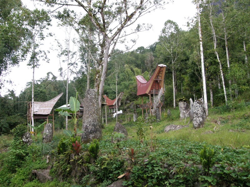 PA270522.jpg