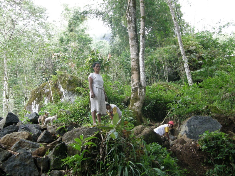 PA270524.jpg