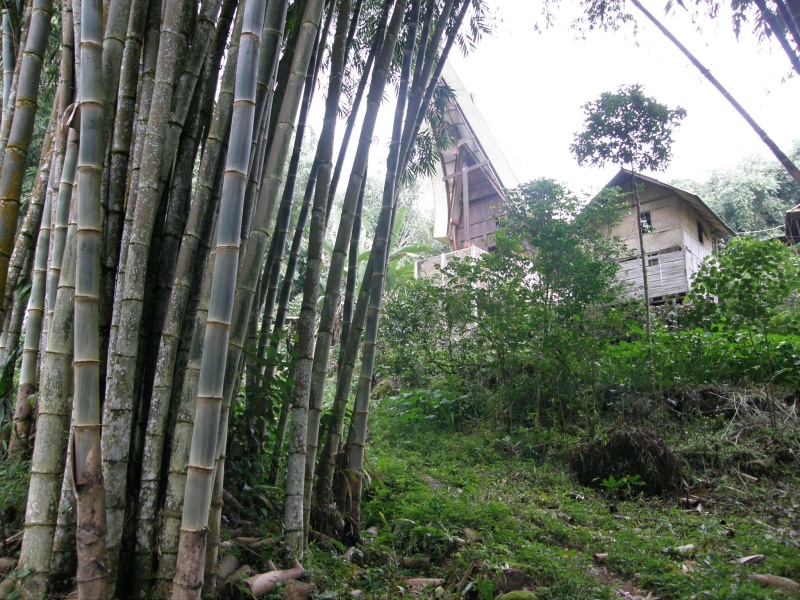 PA270525.jpg