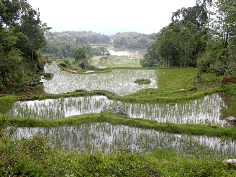 PA270529.jpg