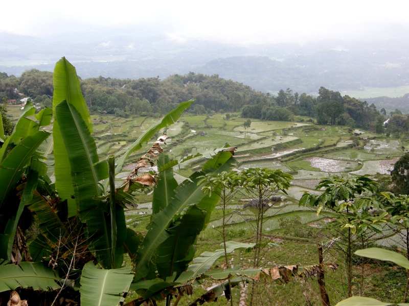 PA270533.jpg