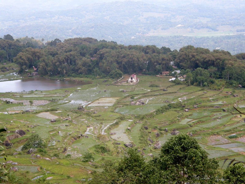 PA270534.jpg