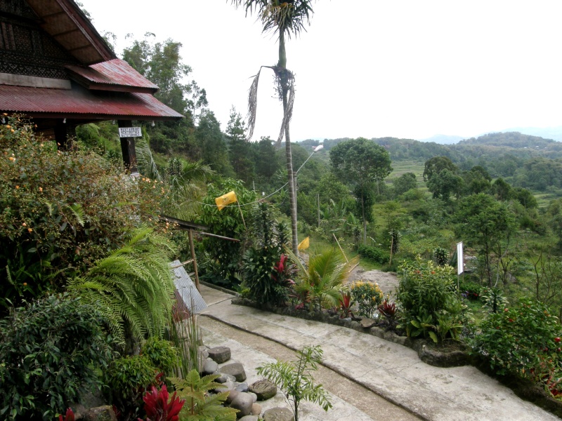 PA270536.jpg