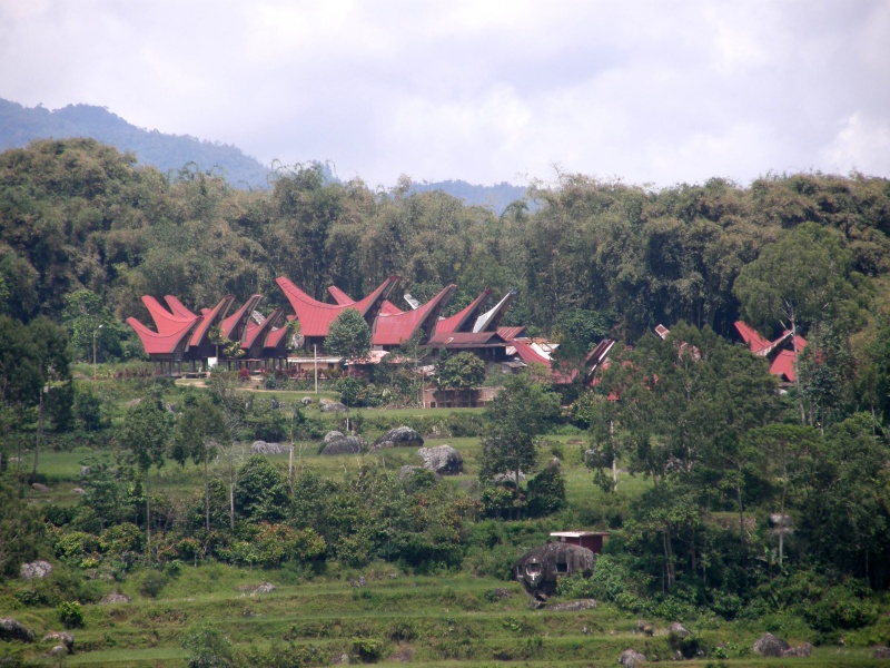 PA270547.jpg