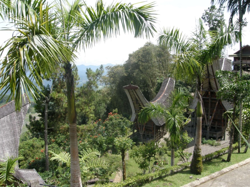 PA270551.jpg