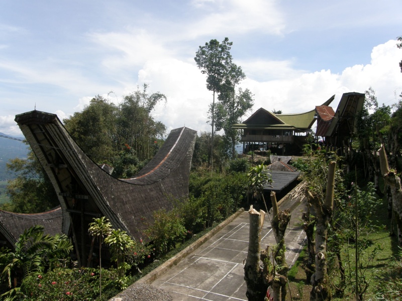 PA270552.jpg