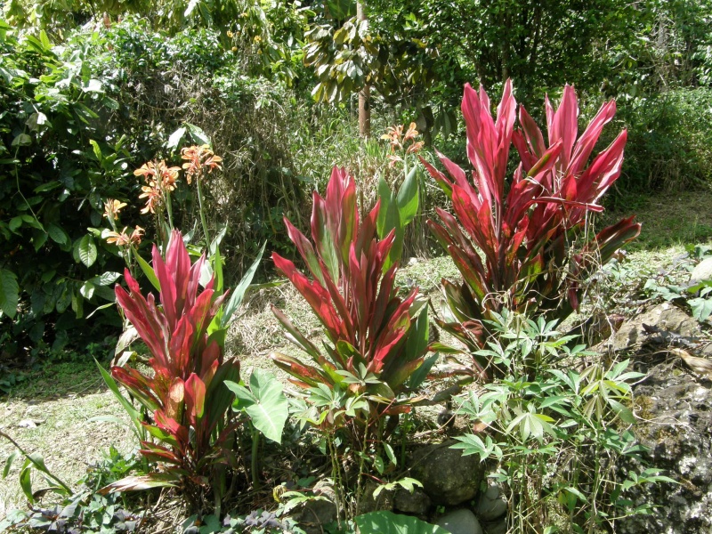 PA270555.jpg