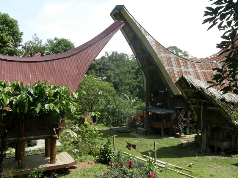 PA270556.jpg