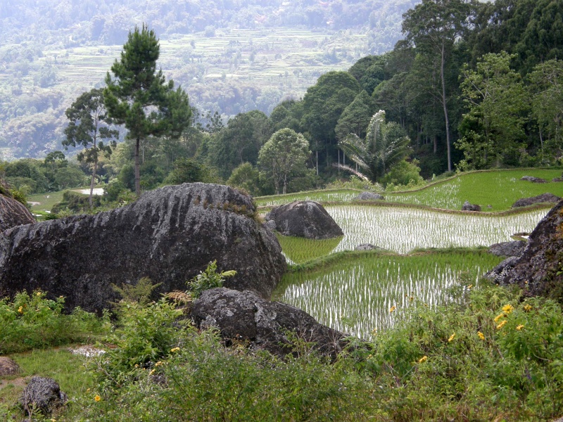 PA270565.jpg