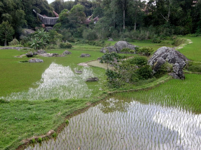 PA270568.jpg