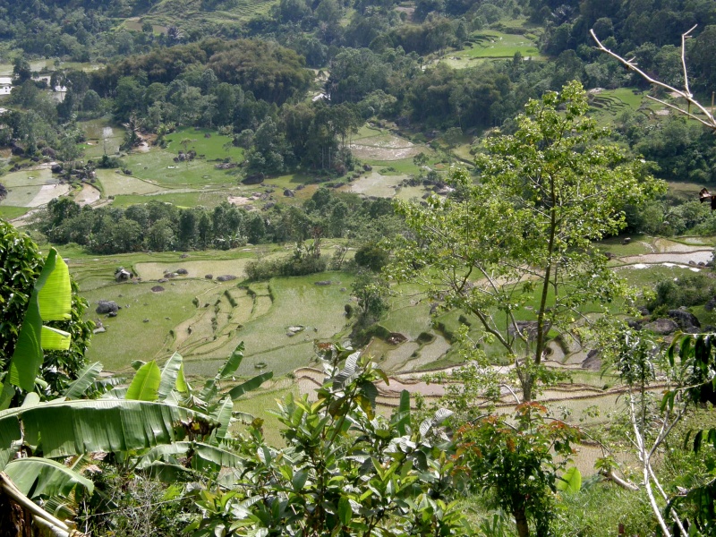 PA270594.jpg