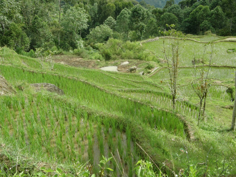 PA270600.jpg