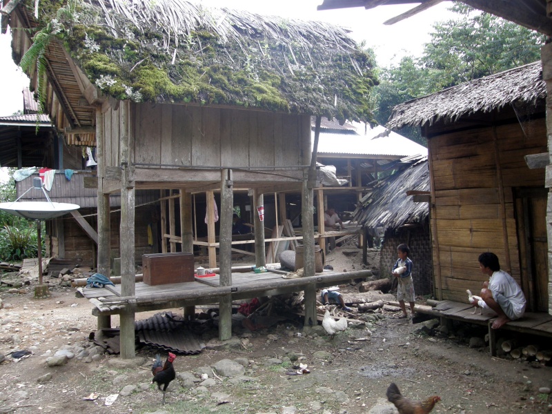 PA270609.jpg
