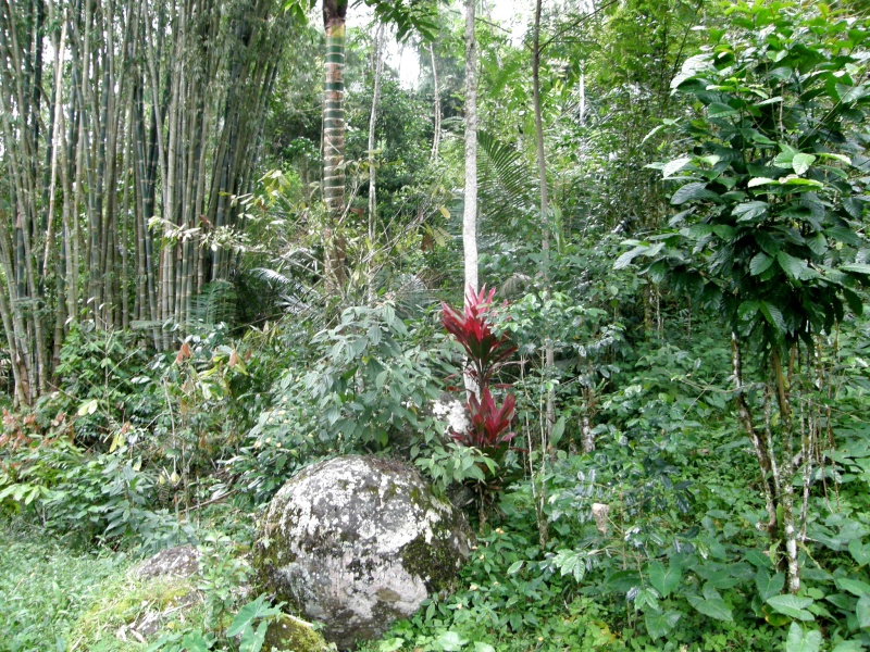PA270611.jpg