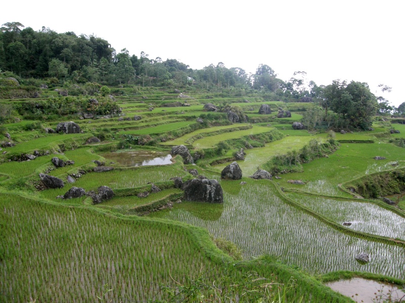PA270614.jpg