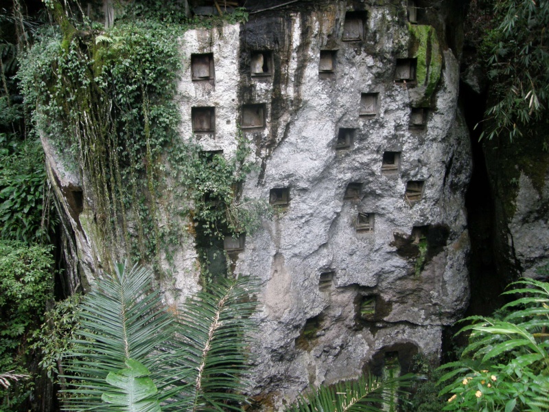 PA270624.jpg