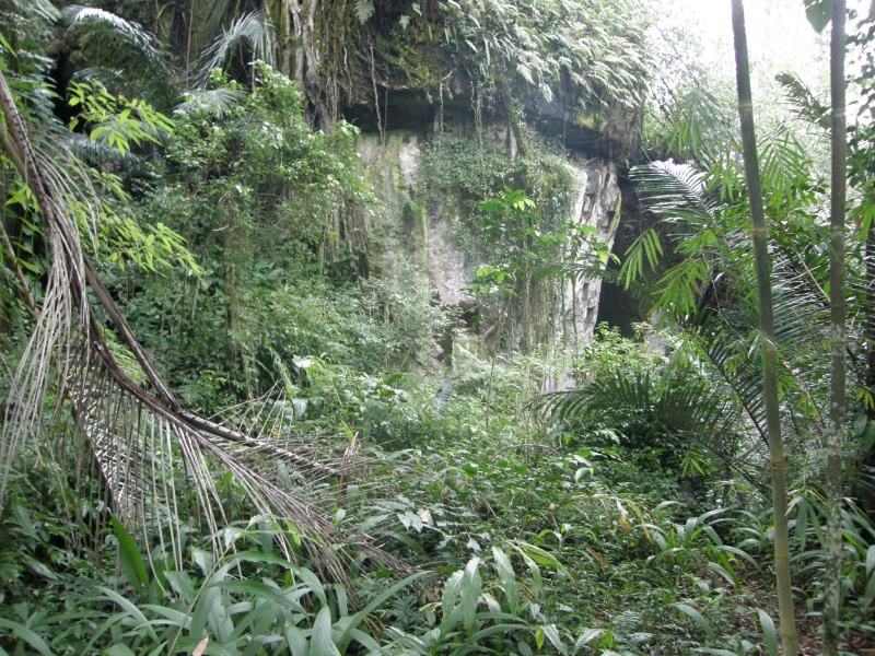 PA270630.jpg