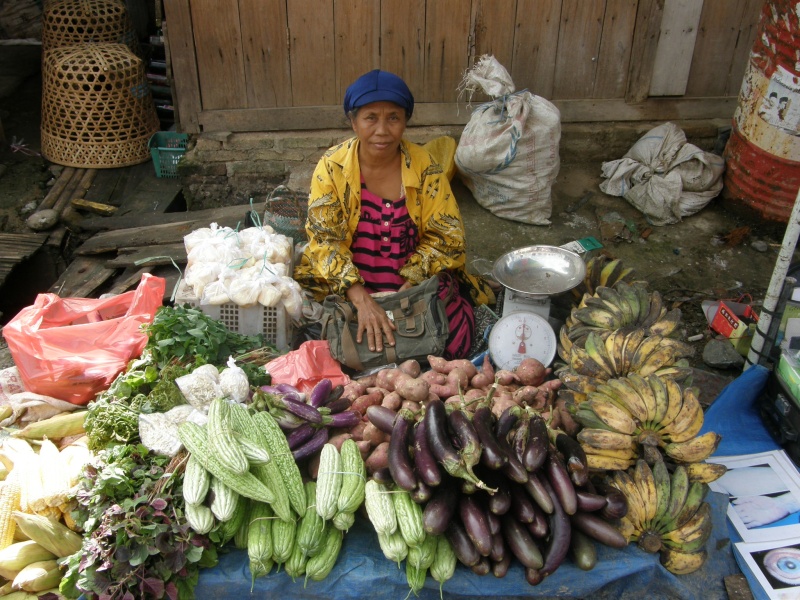 PA280679.jpg