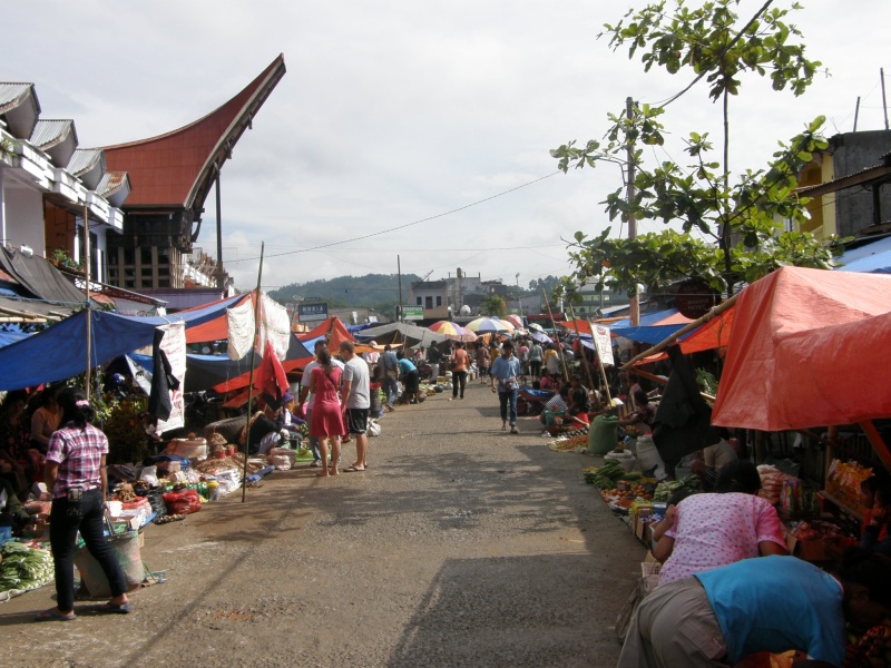 PA280680.jpg