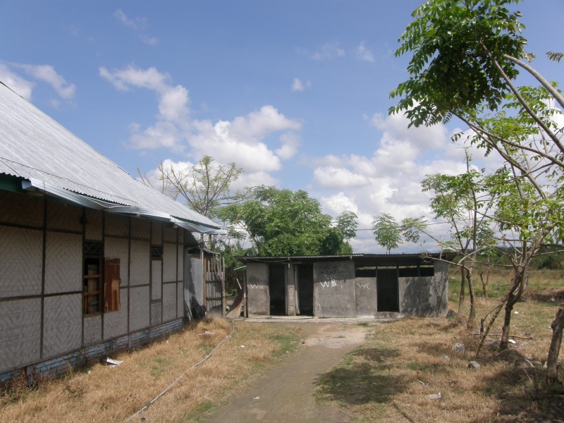 PA290736.jpg