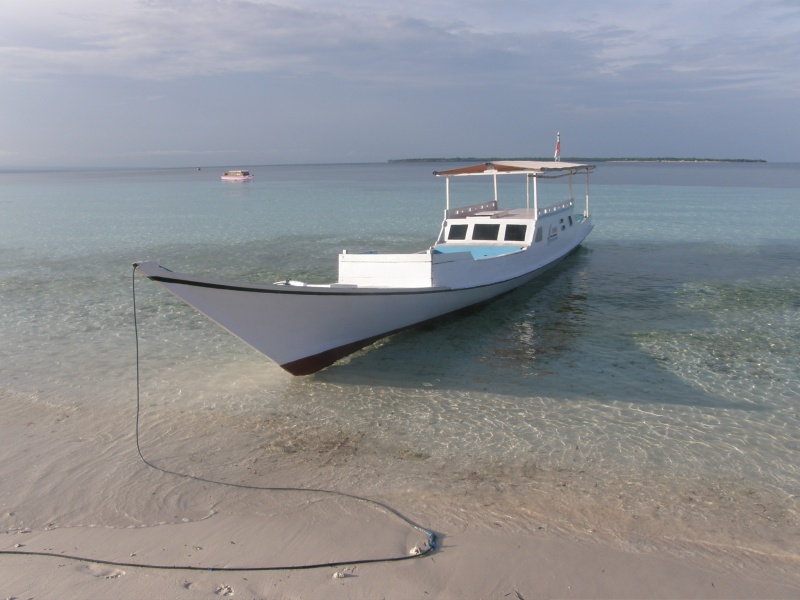 PA290744.jpg