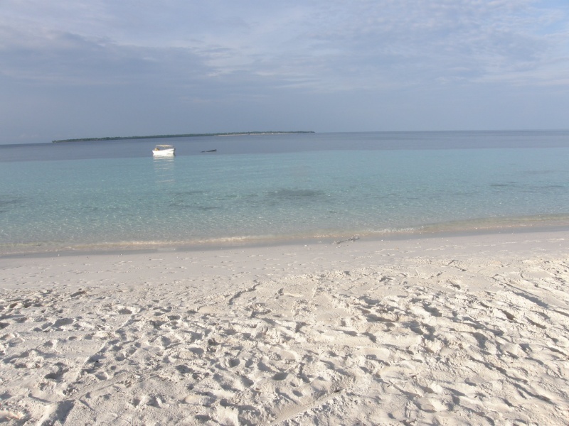 PA290745.jpg
