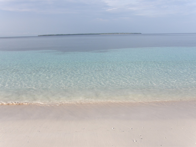 PA290748.jpg