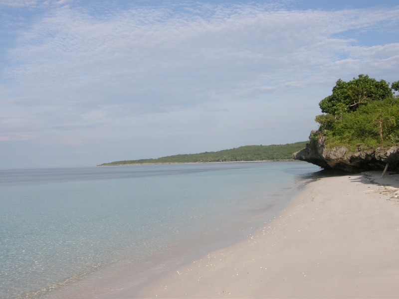 PA290752.jpg