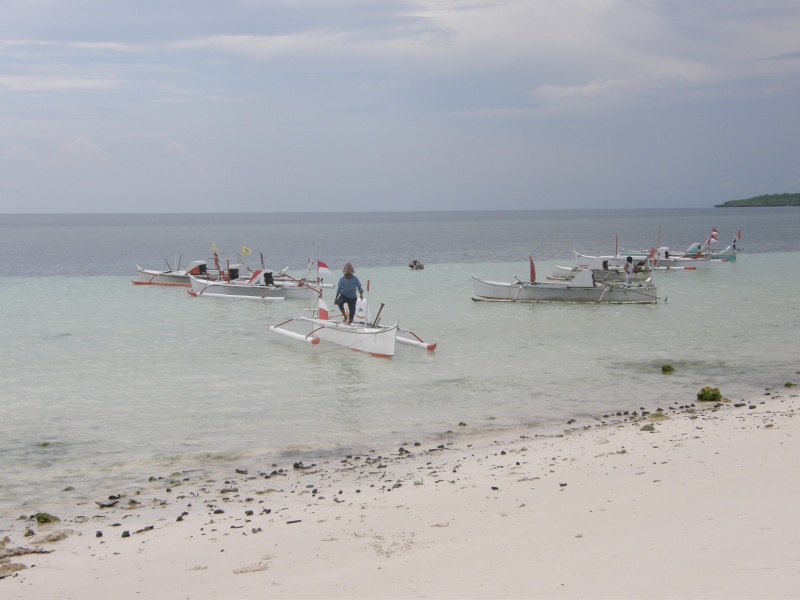 PA290765.jpg