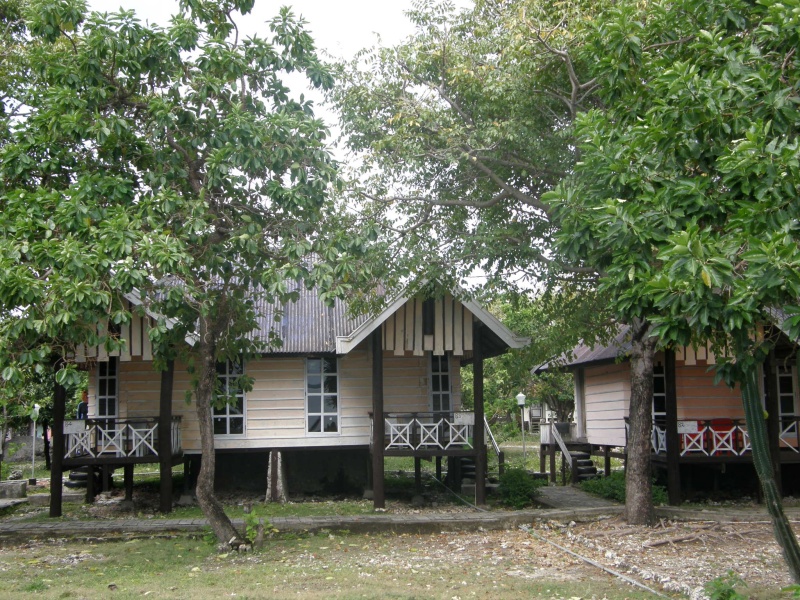 PA290773.jpg