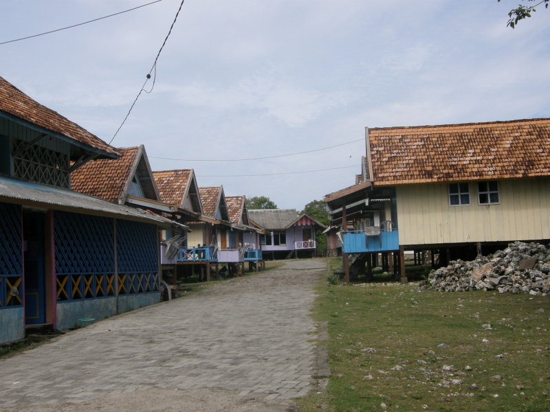 PA290784.jpg