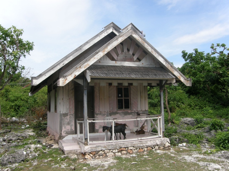 PA290785.jpg