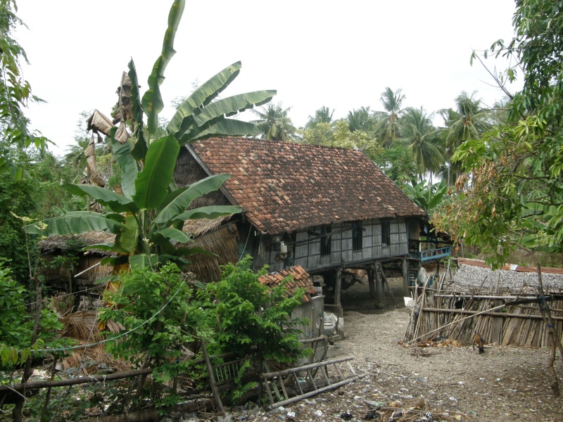 PA290802.jpg