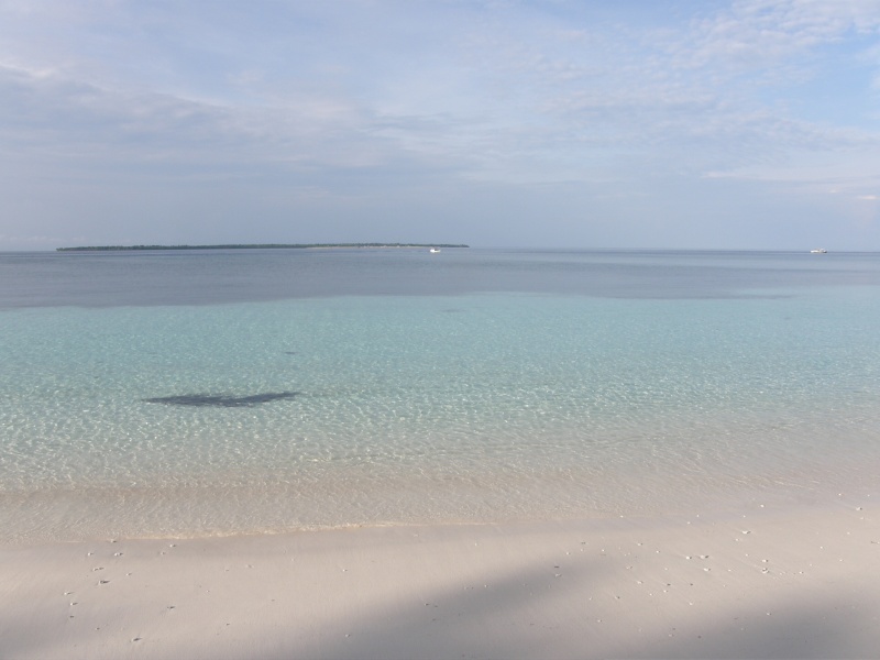 PA290806.jpg
